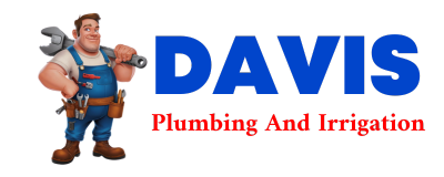 Trusted plumber in RAVIA